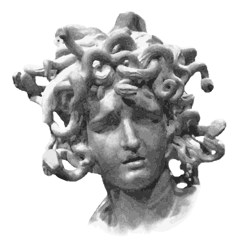 Medusa Head