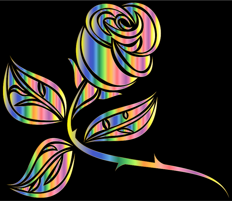 Prismatic Rainbow Rose