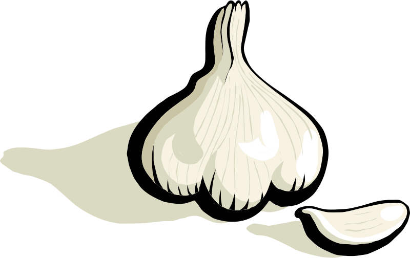 garlic