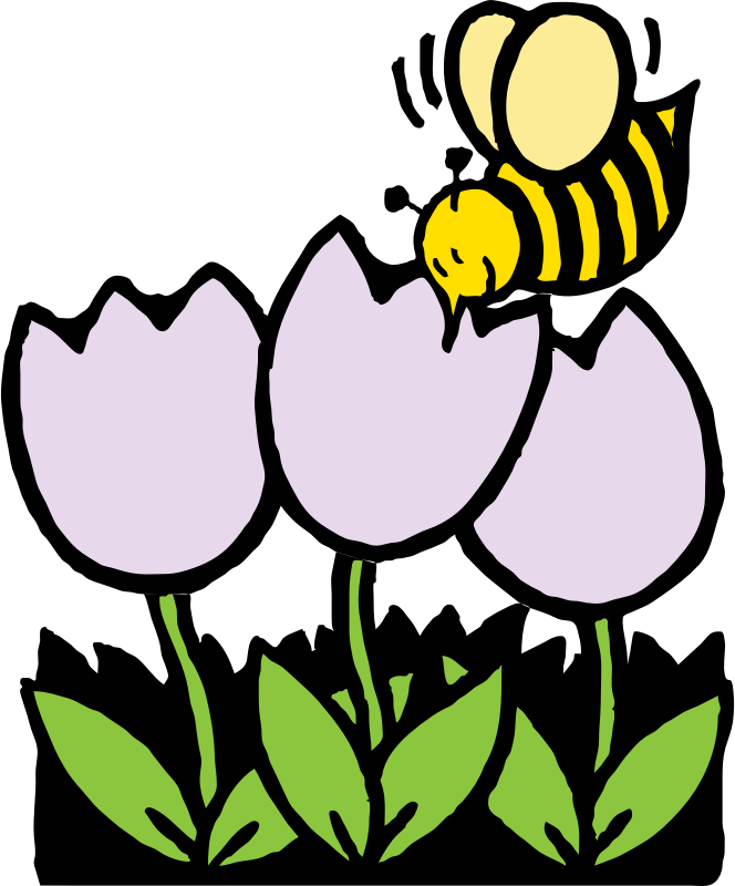 bee and flowers