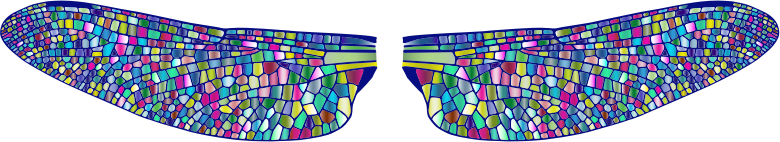 Prismatic Dragonfly Wings 4