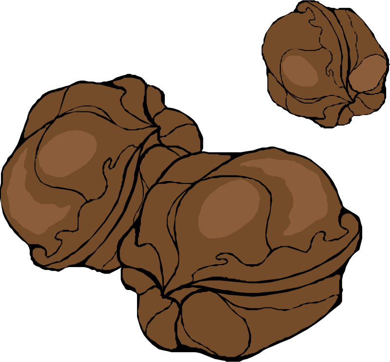 walnuts