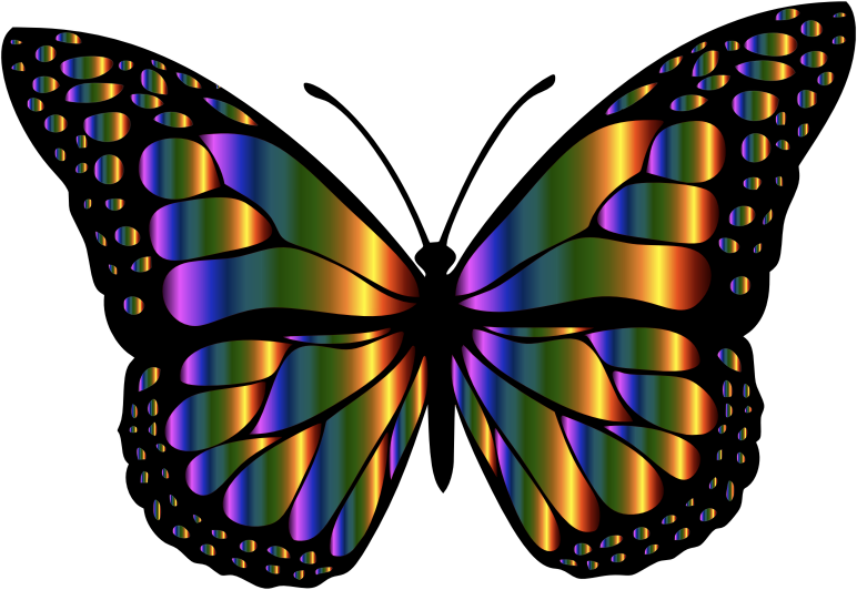 Monarch Butterfly 2 Variation 4 - Openclipart