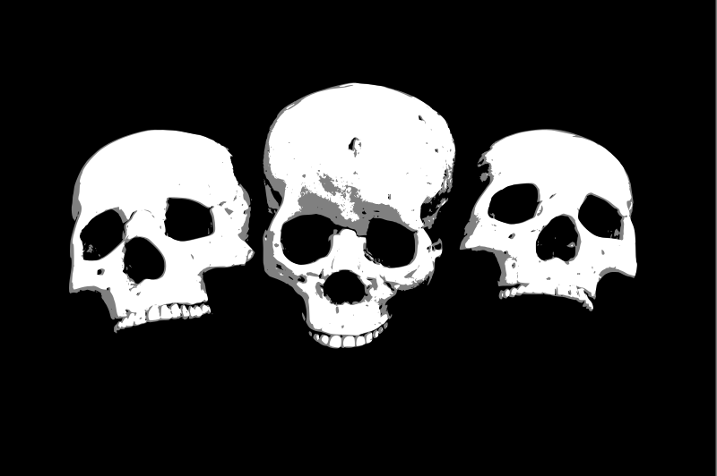 Three skulls