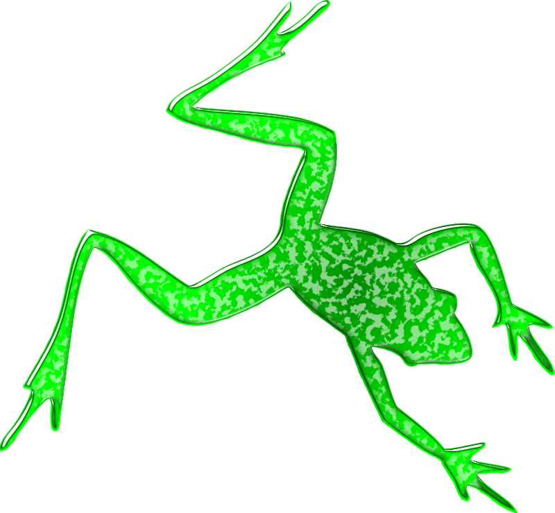 Frog 4