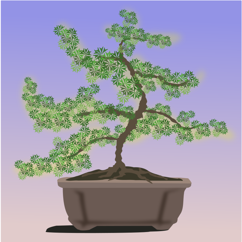 bonsai-08