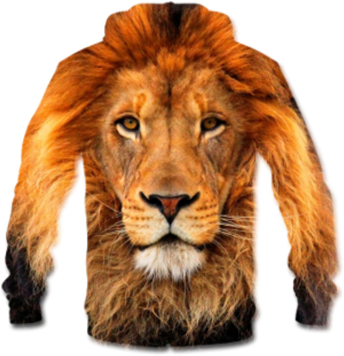 T-shirt Lion