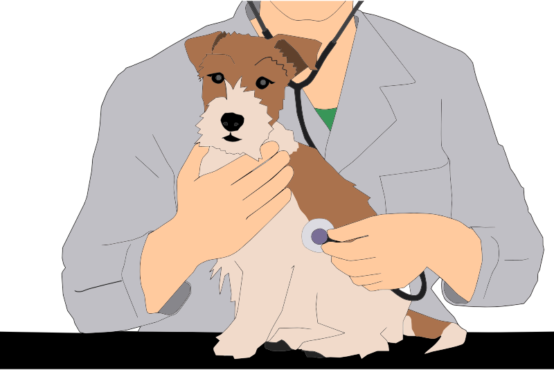 Veterinarian