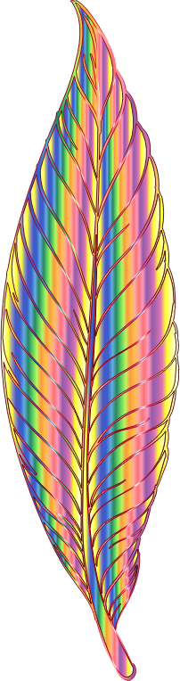 Chromatic Feather