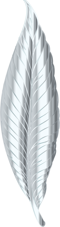 Silver Feather