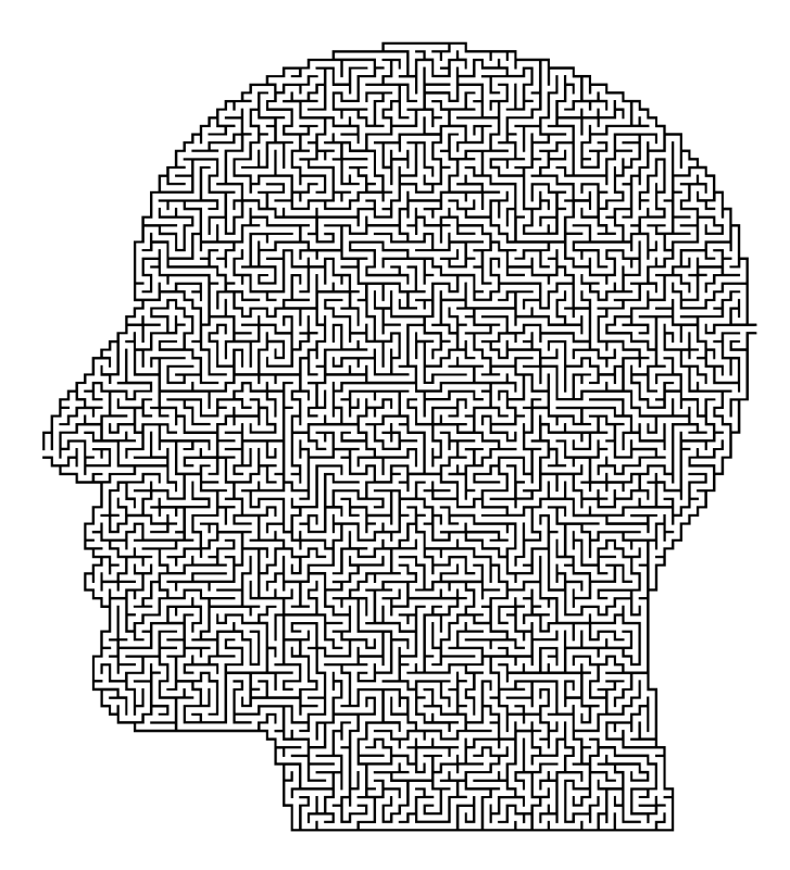 Man Head Maze