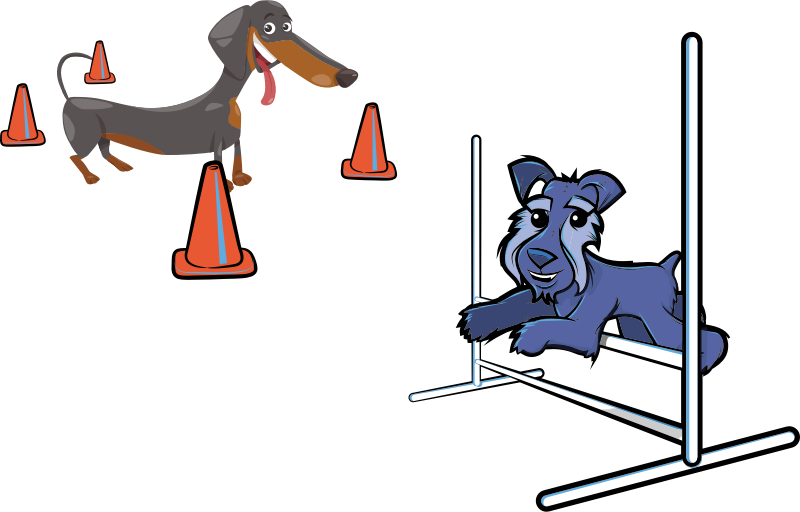 Dog agility