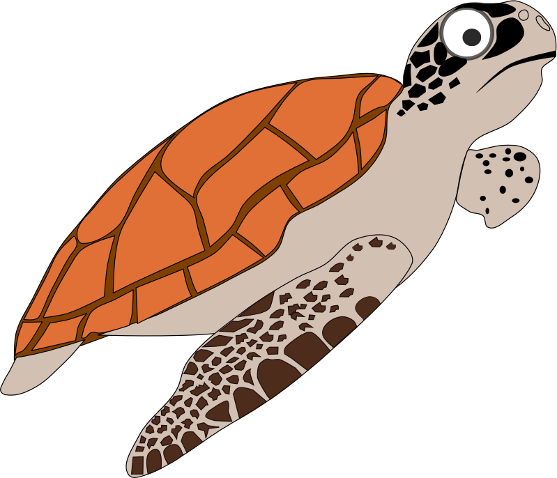 Cartoon Turtle 1