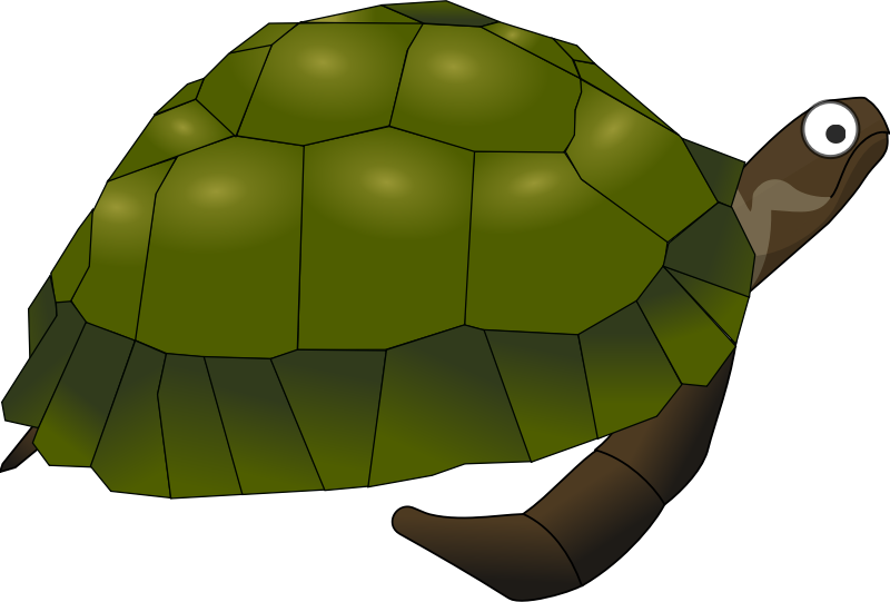 Green cartoon turtle