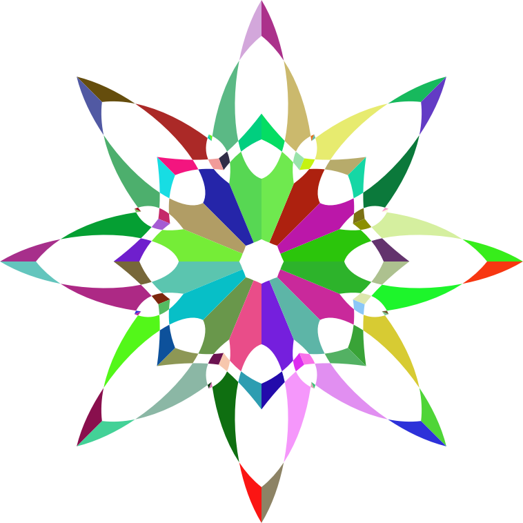 Prismatic Flower Silhouette 2