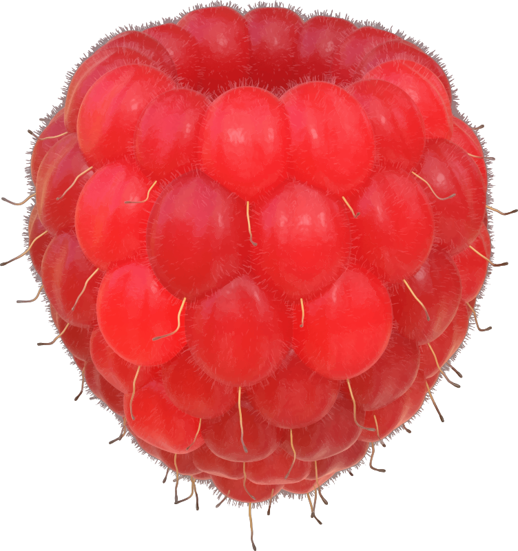 Raspberry