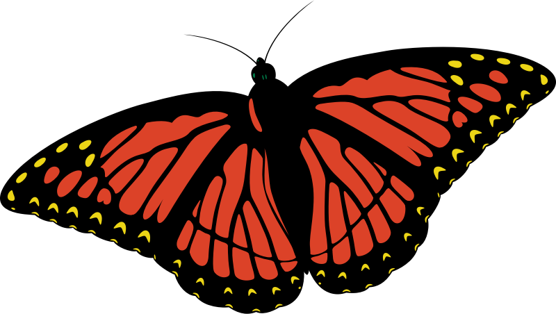 Monarch Butterfly Openclipart