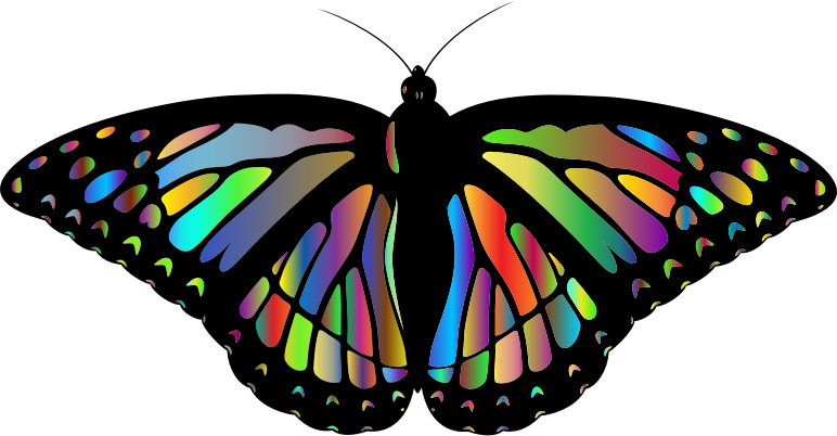 Prismatic Monarch Butterfly II