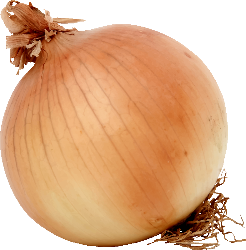 Onion