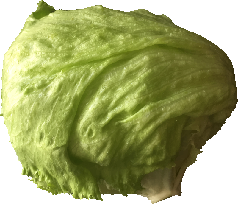 Lettuce