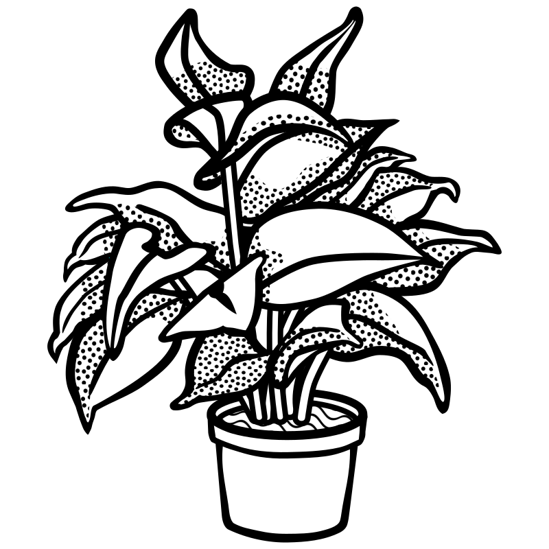 potted plant - lineart