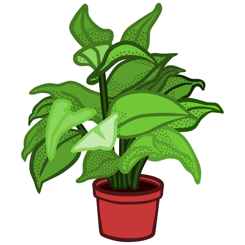 potted plant - coloured