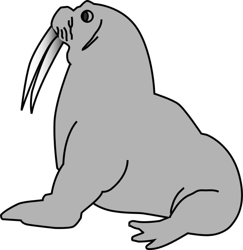 seal