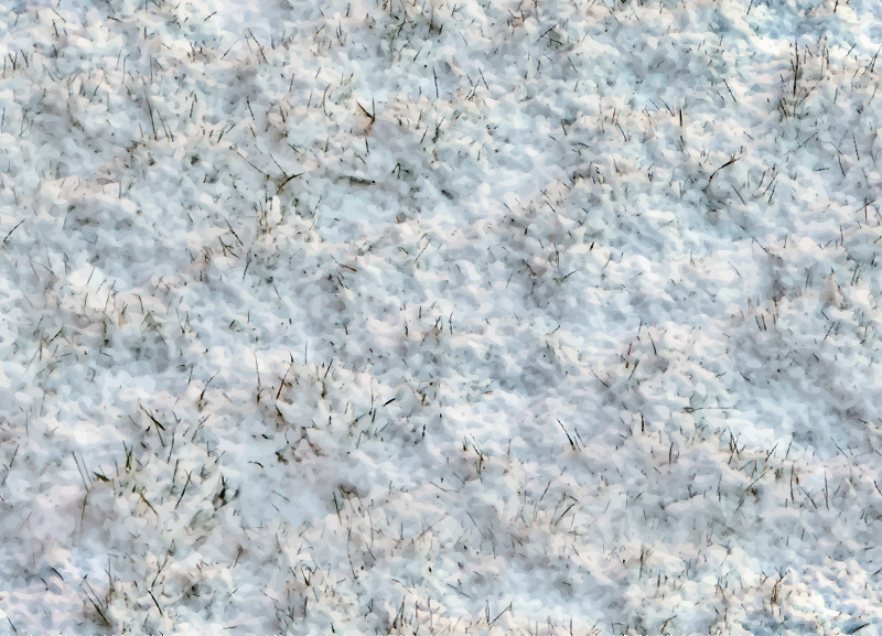 Snow on grass