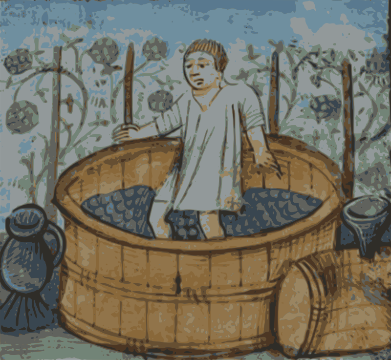 Creu gwin | Making wine