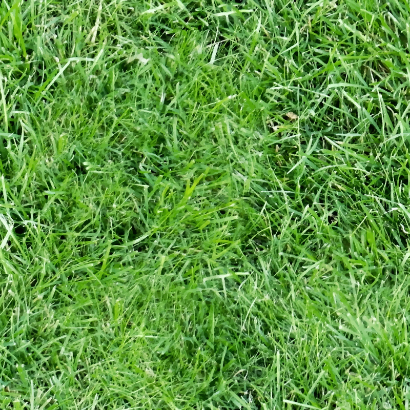 Grass 2