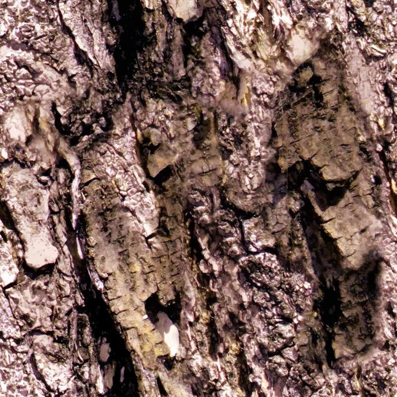 Bark