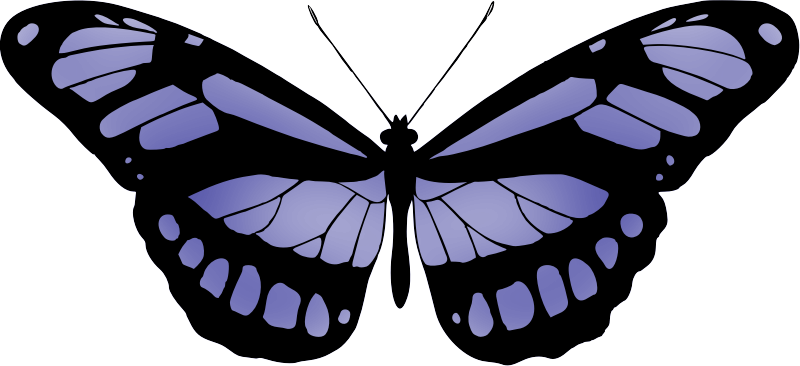 Butterfly 15 (blue)