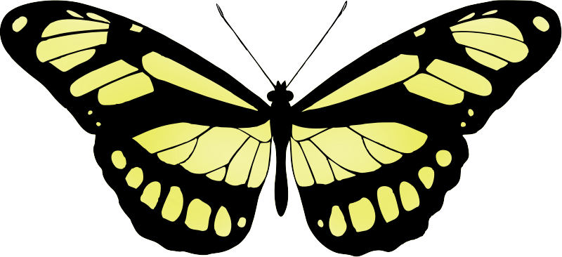 Butterfly 15 (yellow)