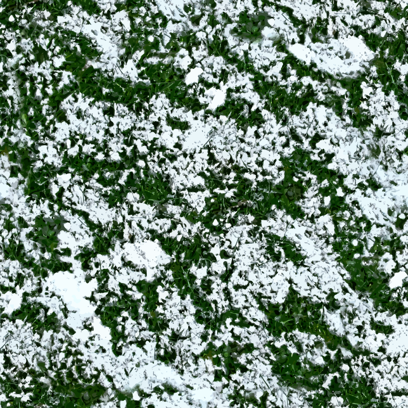 Snow on grass 2