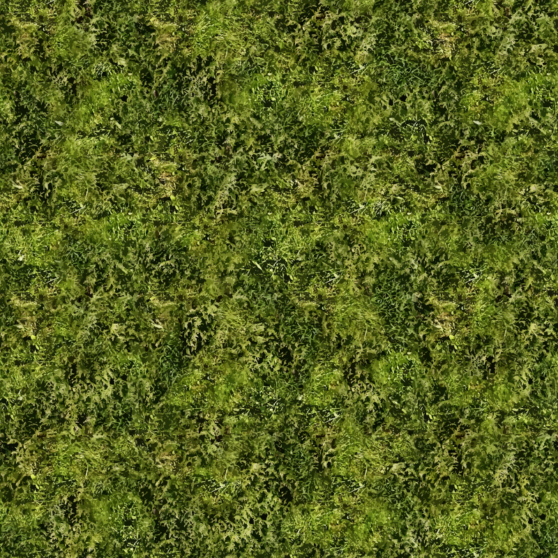 Grass 4