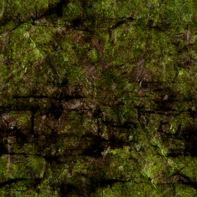 Algae-covered rock face 3