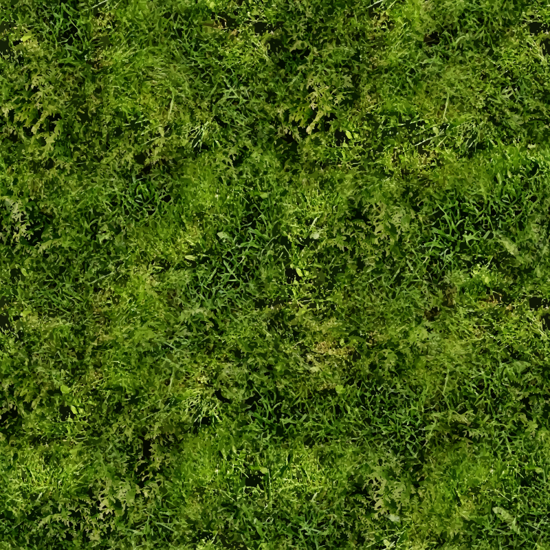 Grass 3