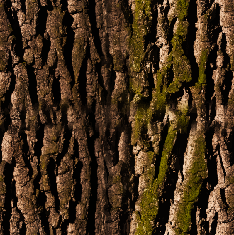 Bark 2 seamless texture