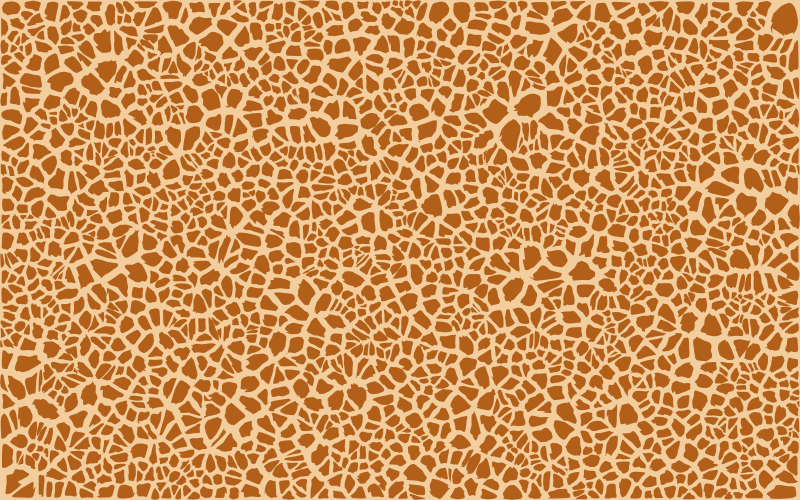 Giraffe Skin Pattern Design