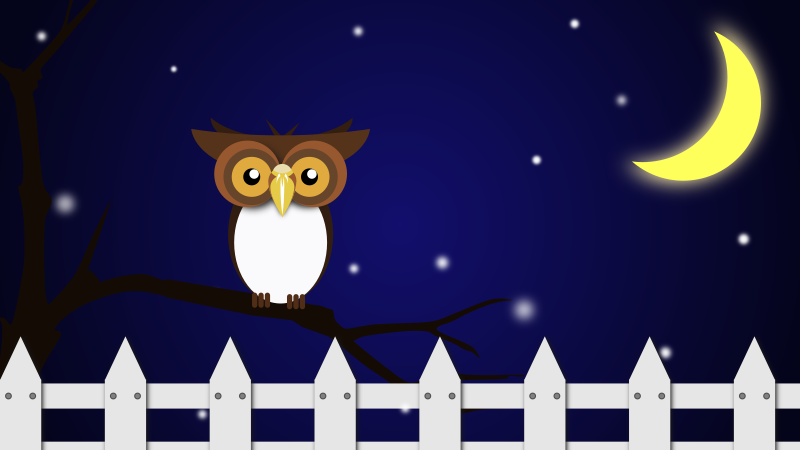 Night Owl