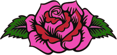 Pink rose