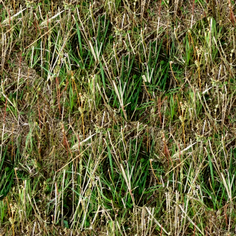 Patchy grass 2