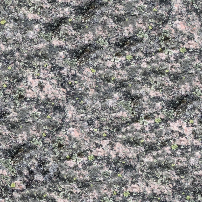 Lichen covered stone 2