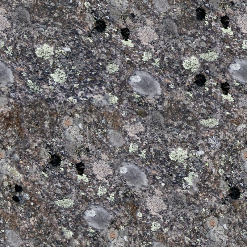 Lichen covered stone