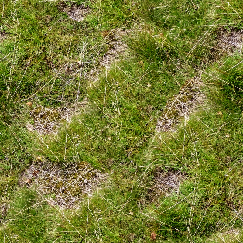 Patchy grass