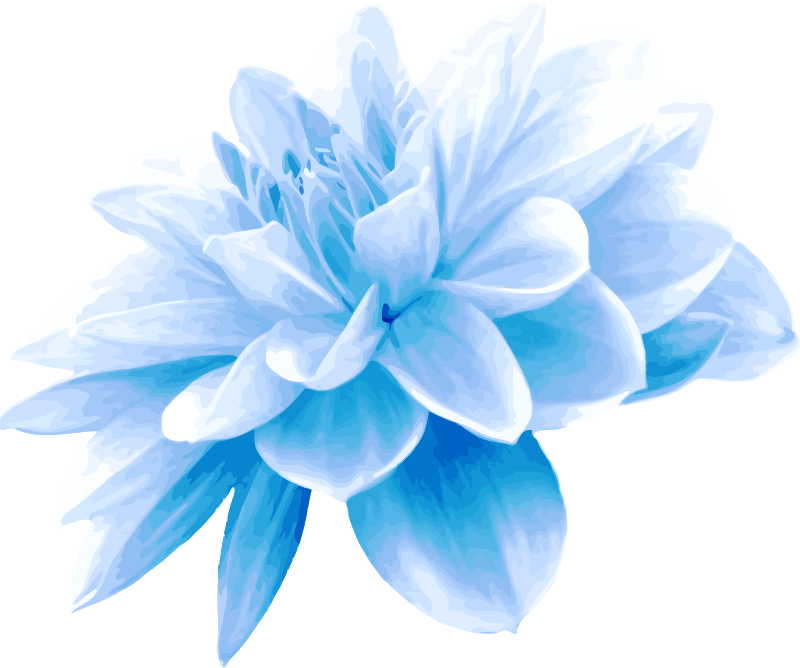 Blue flower