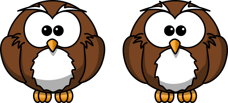 Cartoon owl - spot the 10 differences