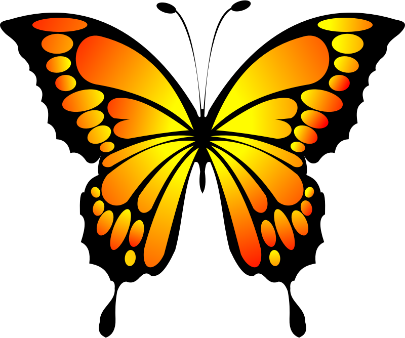 Butterfly Yellow Red