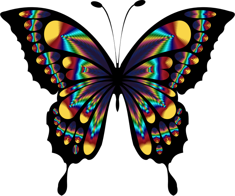 Prismatic Butterfly Remix 2