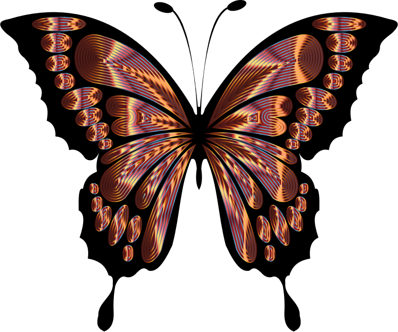 Prismatic Butterfly Remix 5